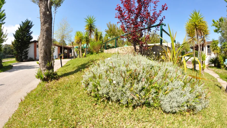 Campeggio Villaggio Paestum