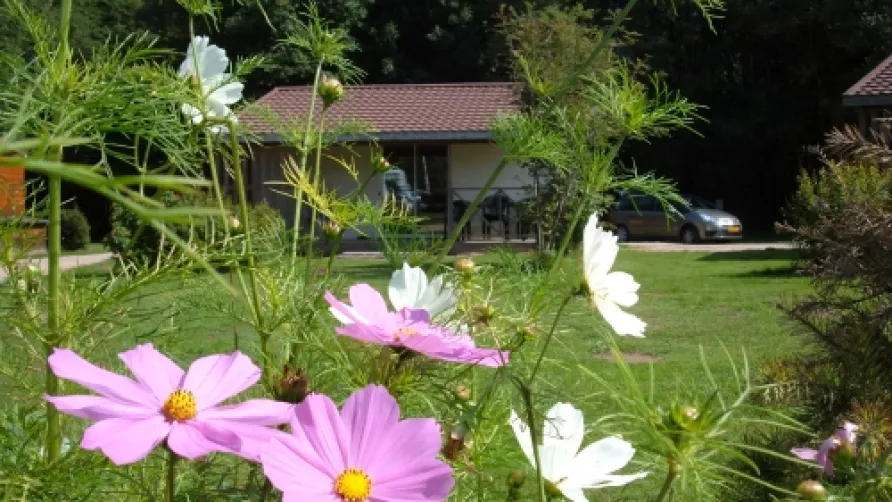 Au Clos de la Chaume Sites et Paysages