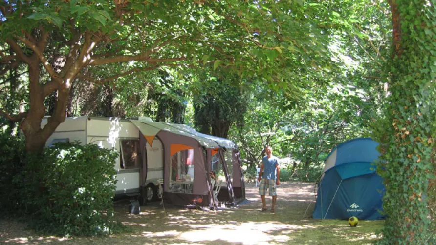 Flower Camping les Tomasses
