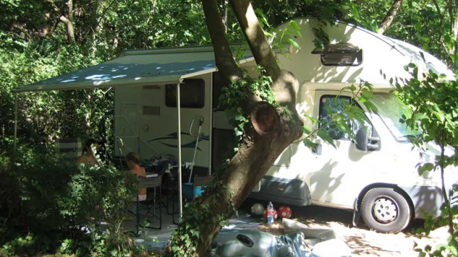 Flower Camping les Tomasses