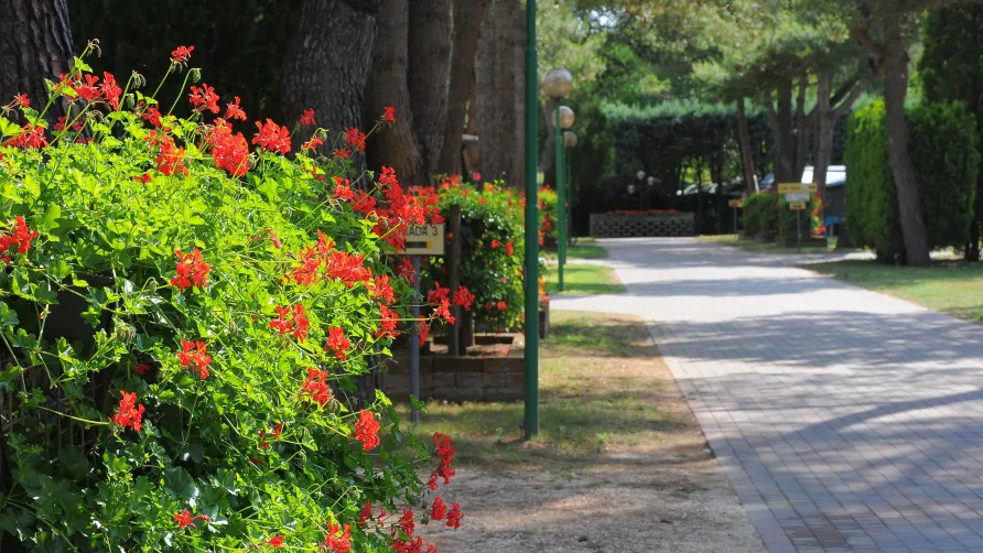Camping Village Al Boschetto