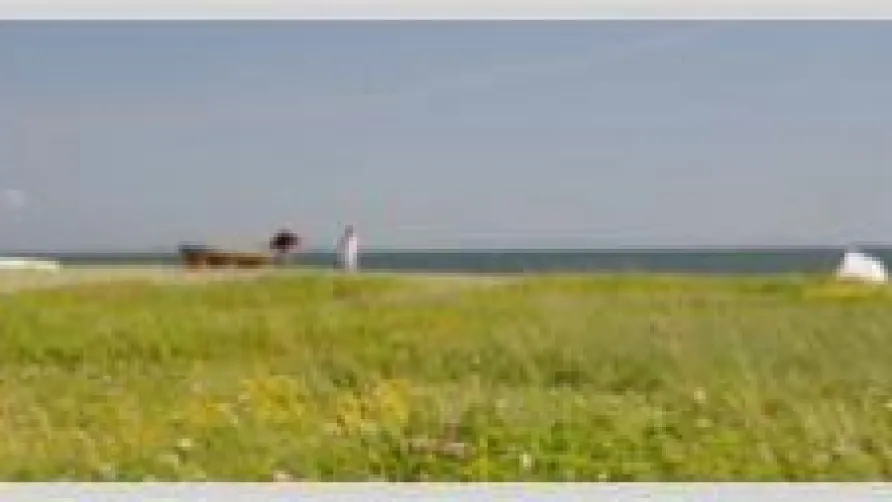 AJSTRUP STRAND Camping