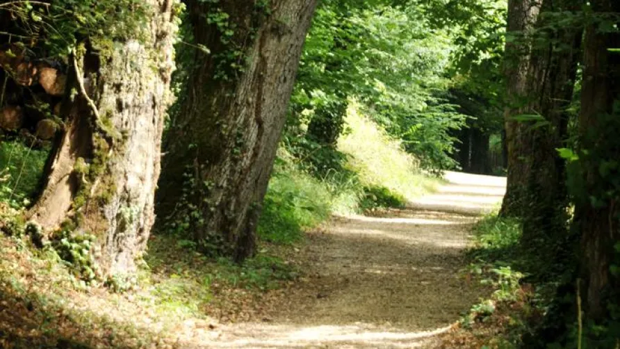 Le Parc de la Belle