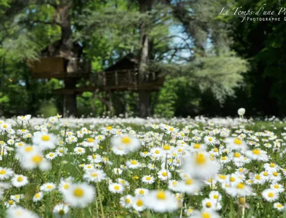 Le Parc de la Belle