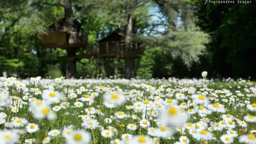 Le Parc de la Belle