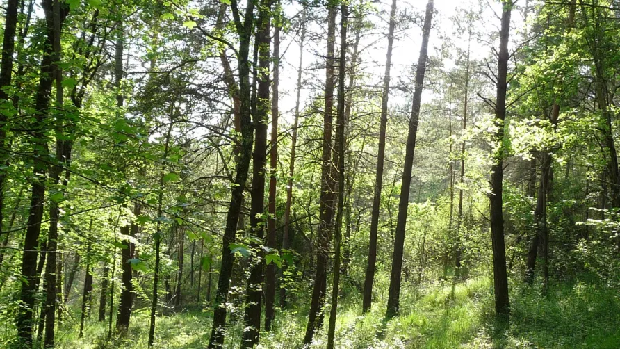 CAMPING LA LENOTTE