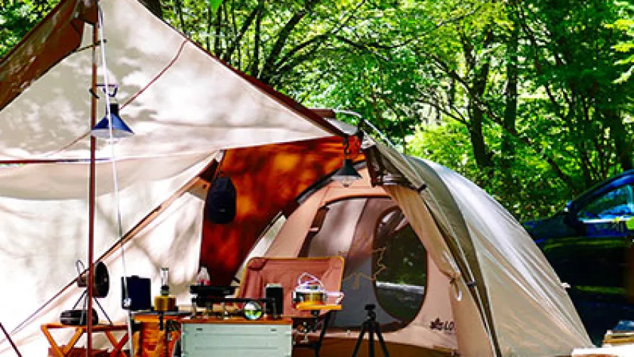 Camping La Berge Fleurie