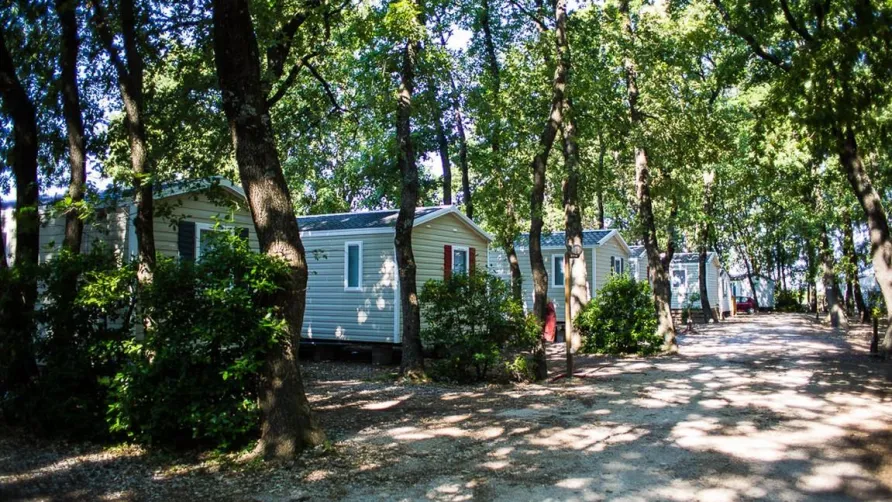 Camping Le Bois des Ecureuils