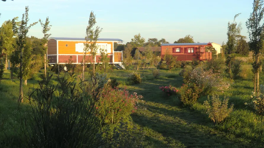 La Ferme de l'Autruche Drômoise