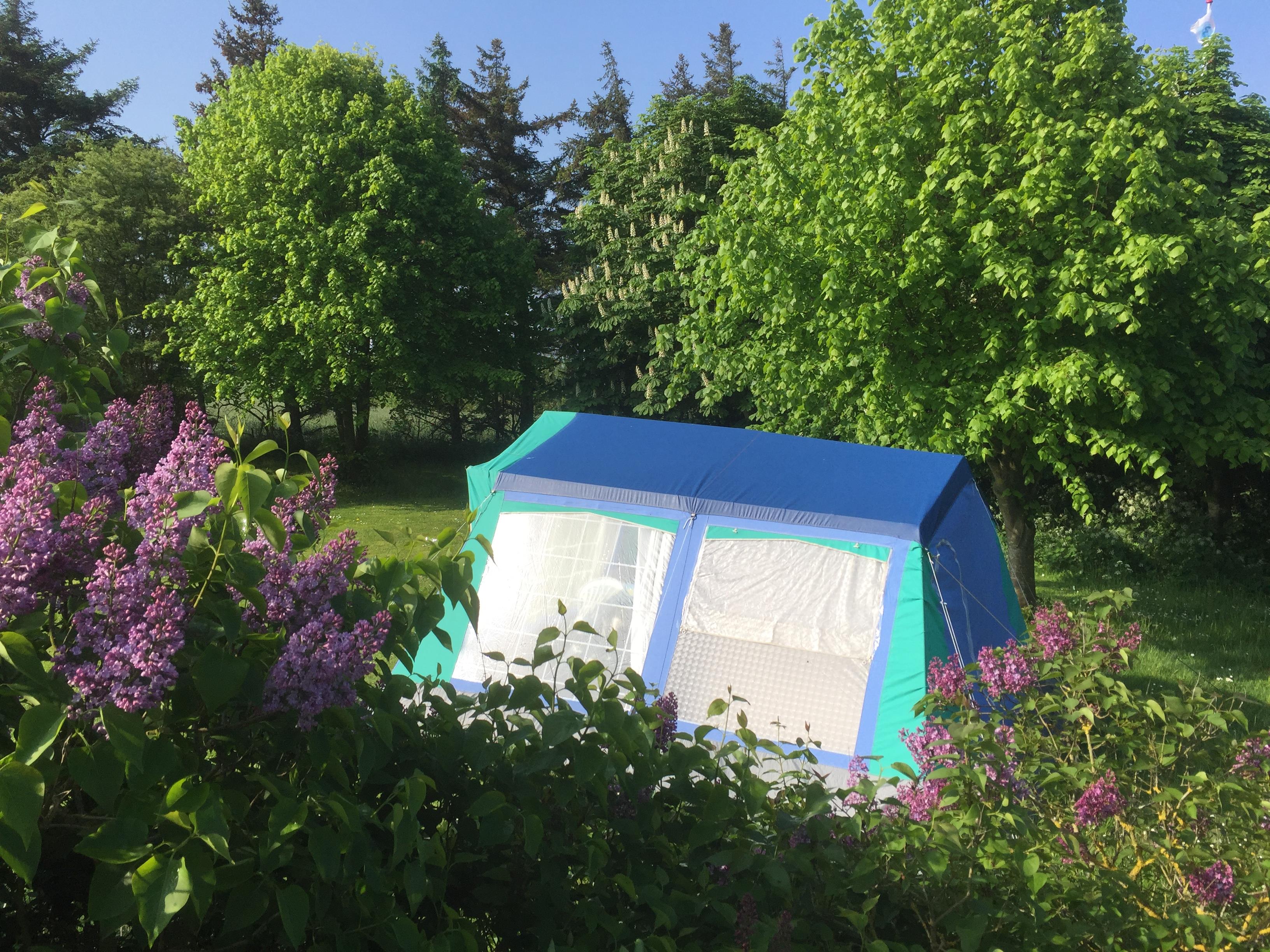 Ballum Camping