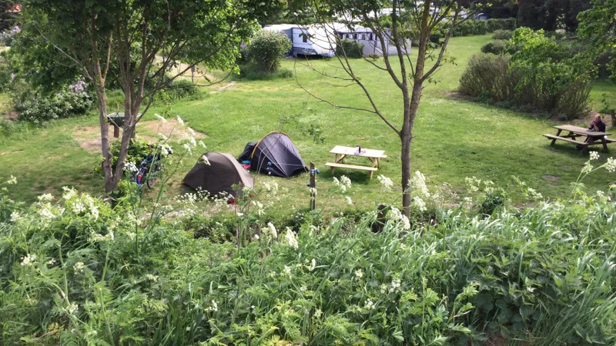 Ballum Camping