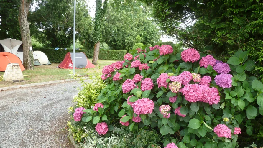 Parc Camping les Acacias