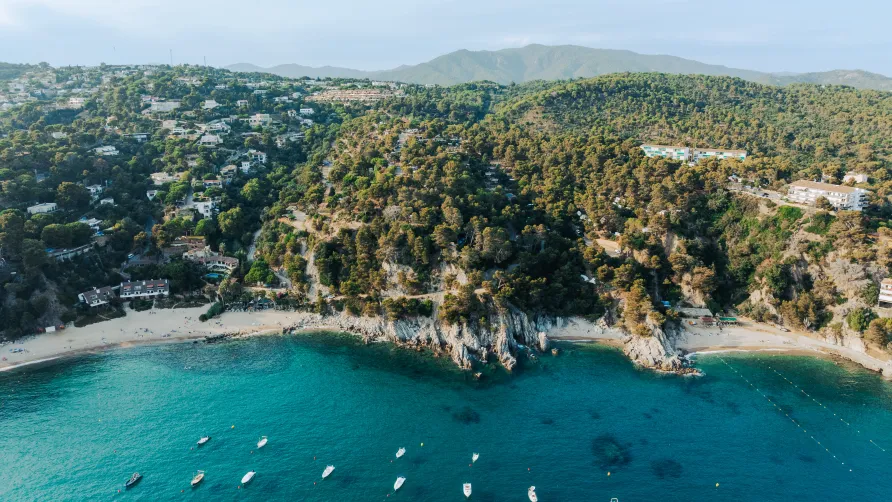 Cala llevado - Sea Green by Sunêlia