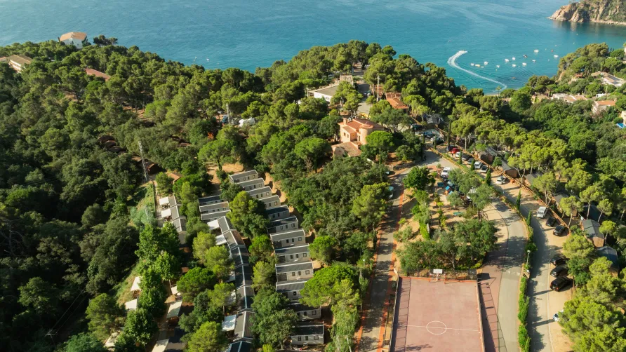 Cala llevado - Sea Green by Sunêlia