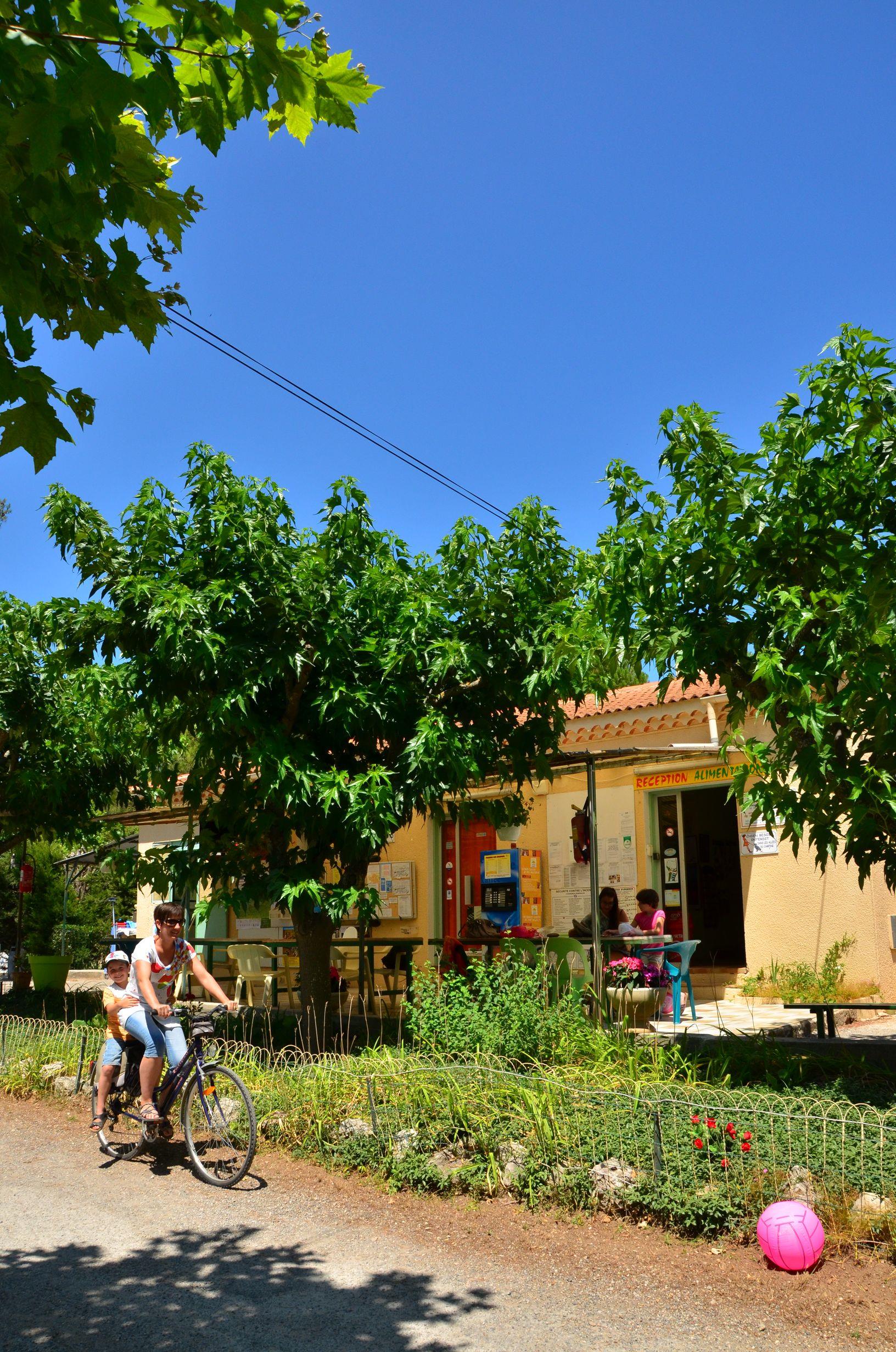 Camping Sainte-Victoire