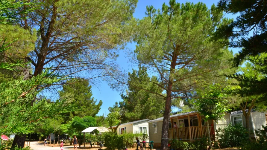 Camping Sainte-Victoire