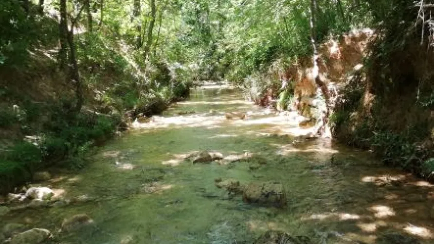 Camping Sainte-Victoire