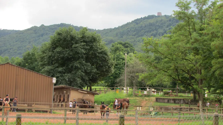 Camping Seasonova Les Portes d'Alsace