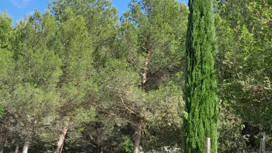 Camping Fontisson