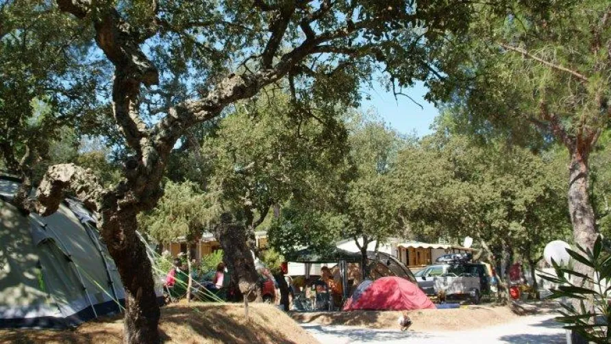 Camping Leï Suves