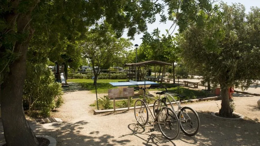 Camping L'Arlésienne