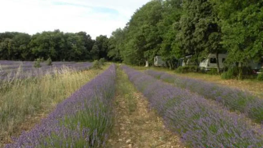 Flower Camping LES TRUFFIERES