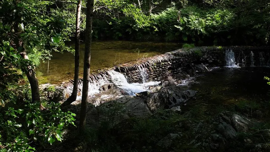 Camping Le Moulin de Gournier