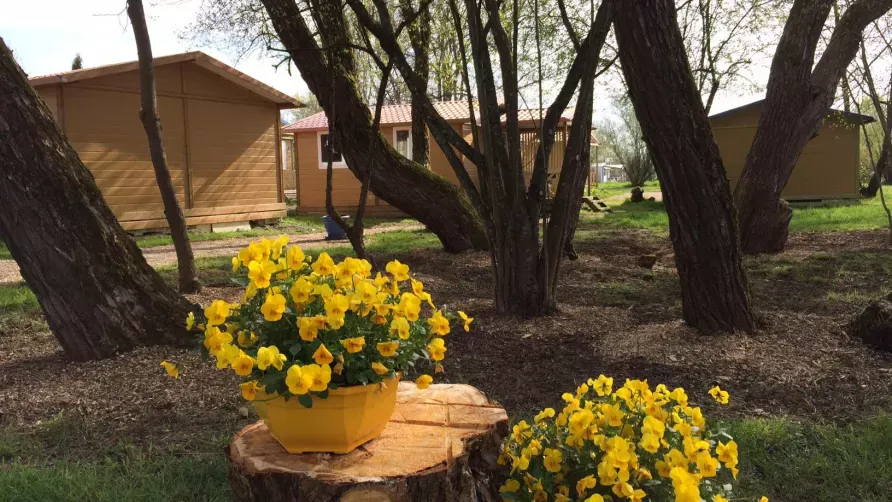 Camping Onlycamp L'Etang des Forges