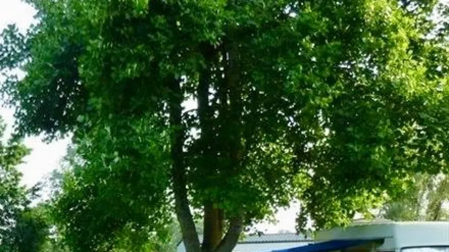 Camping Vert Auxois