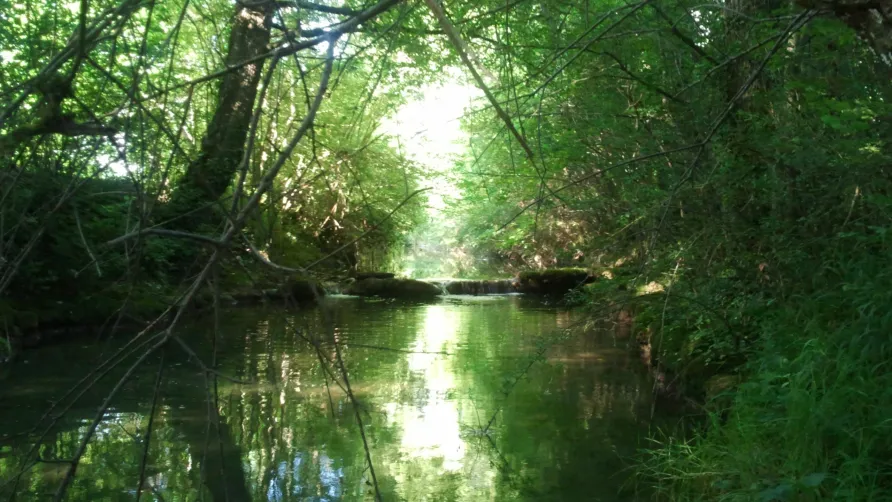 Camping Les Rives du Céou