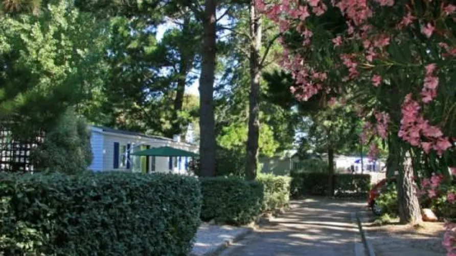Chadotel Les Jardins Catalans