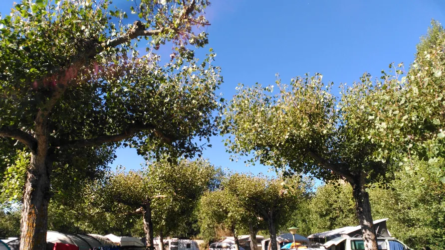 Camping Laspaúles