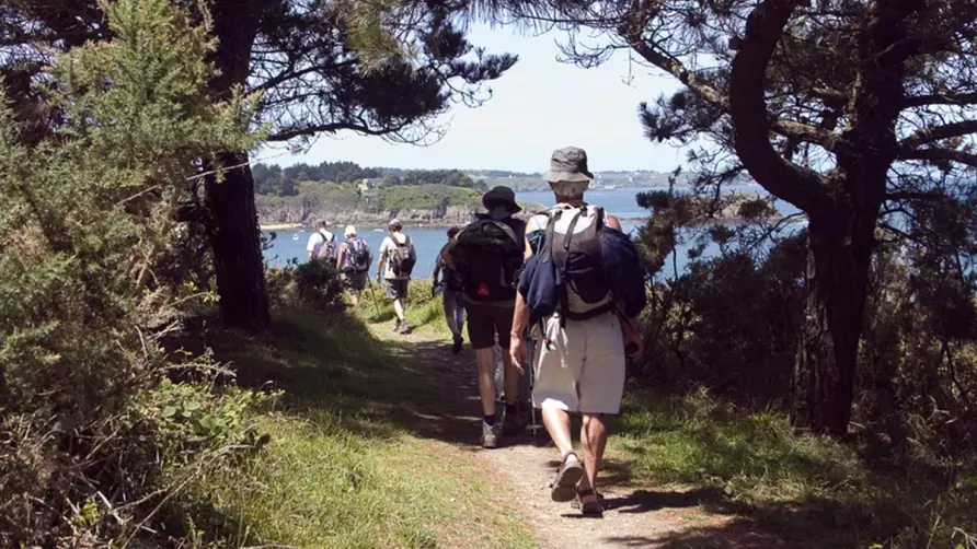 Camping Les Ajoncs d'Or