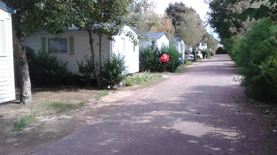 Plein Air Locations - camping Les Tamaris