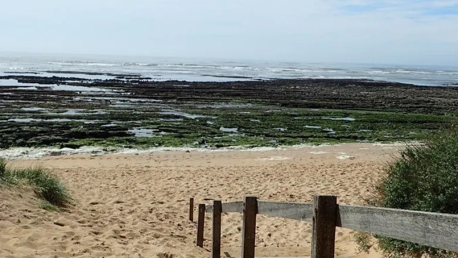 Plein Air Locations - camping Les Tamaris