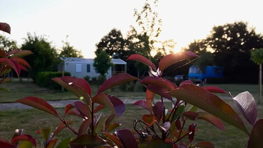 Camping Au Pré de l'Etang
