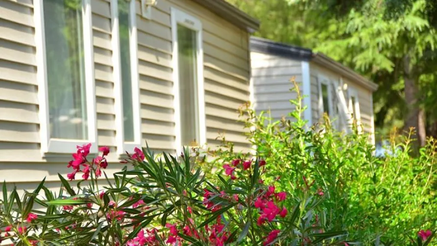 CAMPING BON PORT