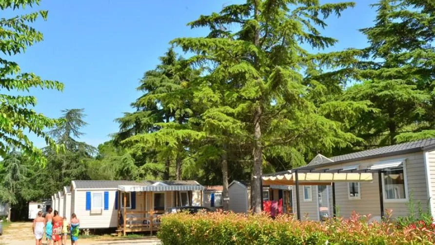 CAMPING BON PORT