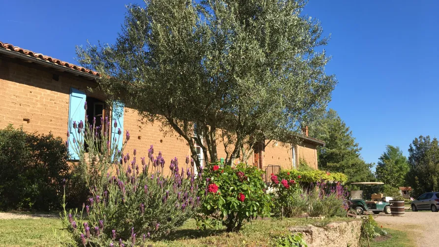 Les Chalets de Fiolles
