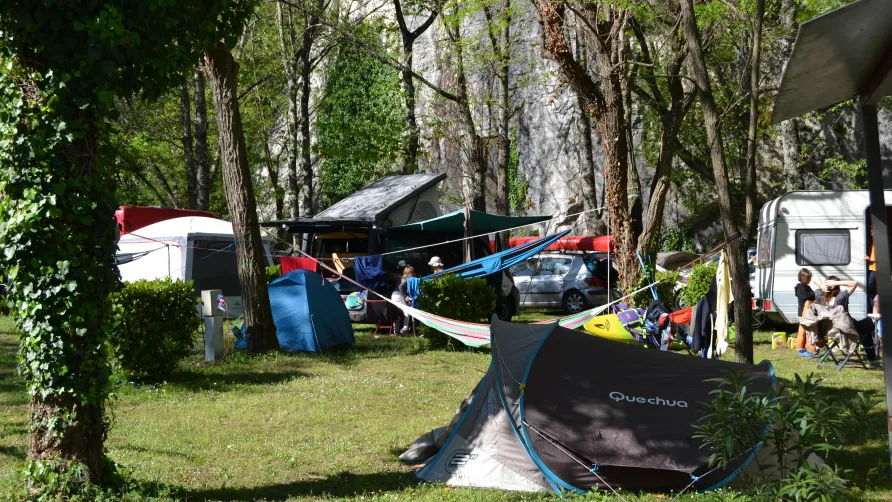 Camping les Actinidias