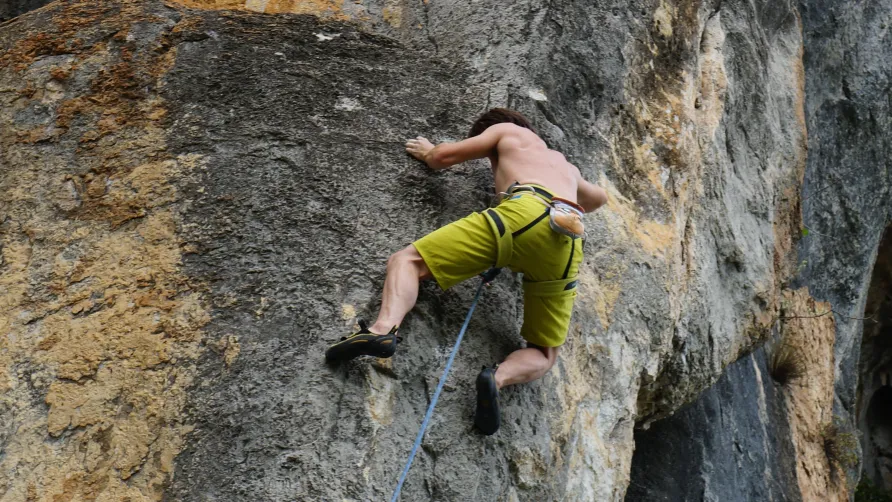 Camping les Actinidias