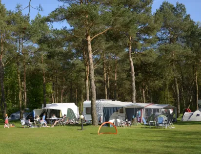 Resort De Wije Werelt