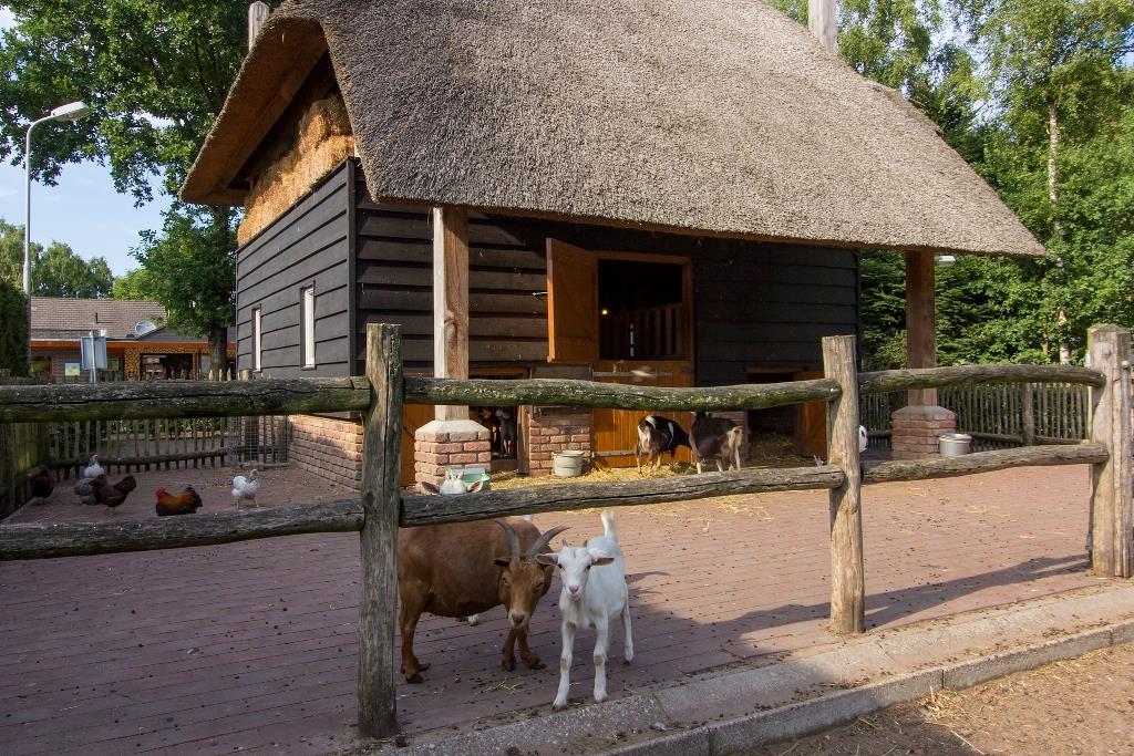 Resort De Wije Werelt