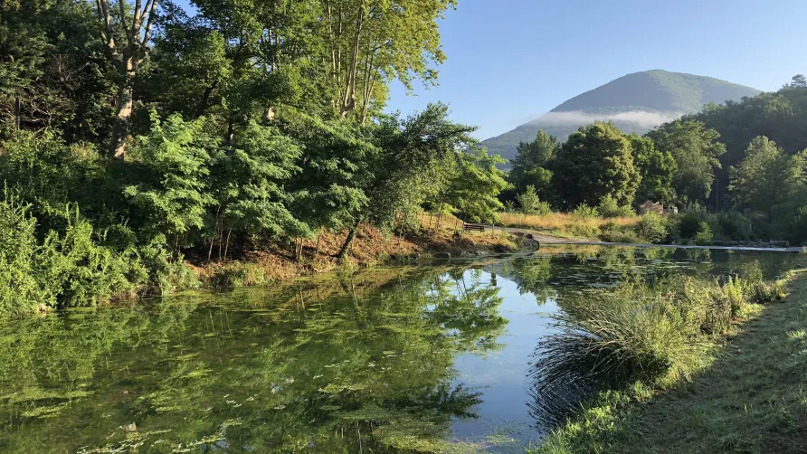 Camping La Bernède