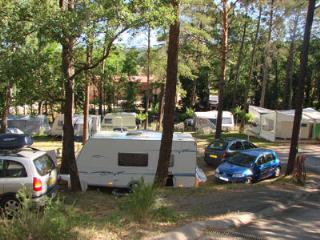 Camping Paradis Le Ruou