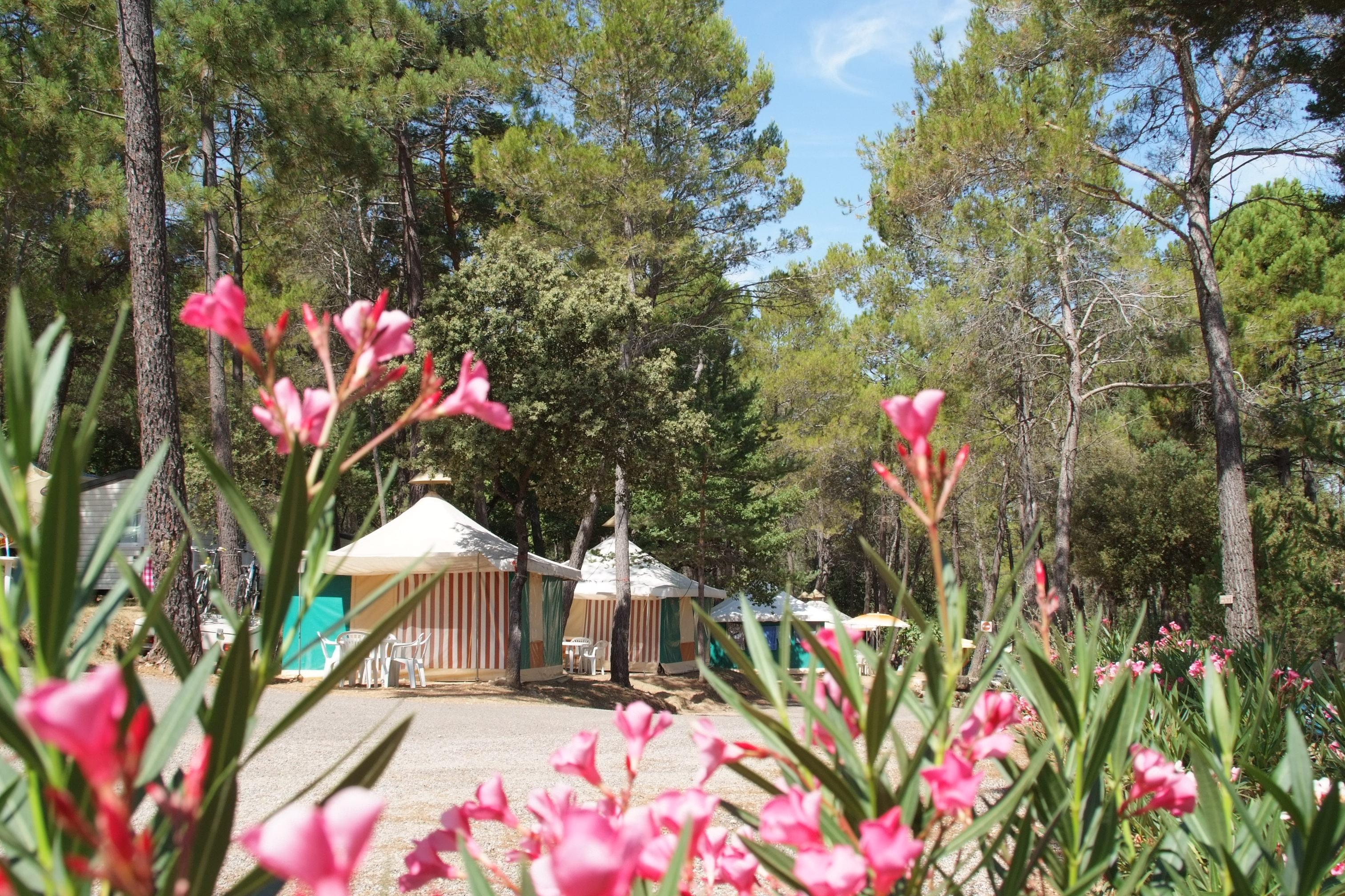 Camping Paradis Le Ruou