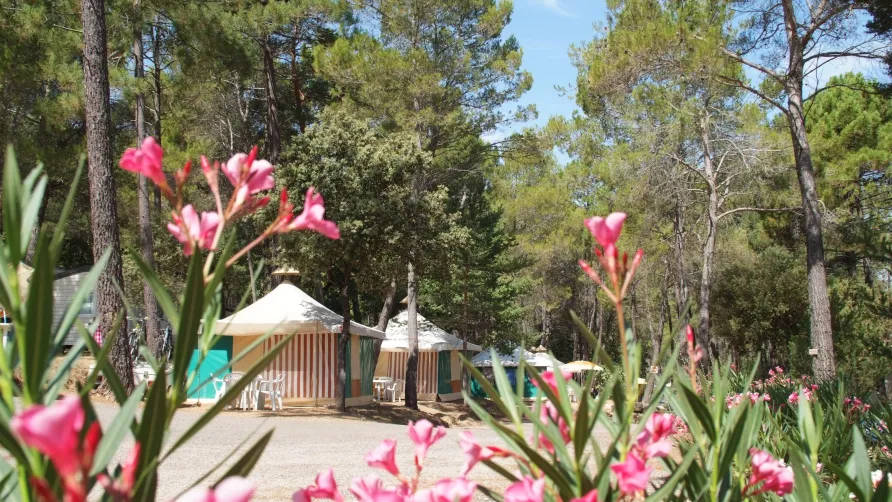 Camping Le Ruou