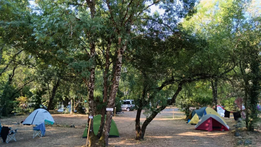 Ludo Camping