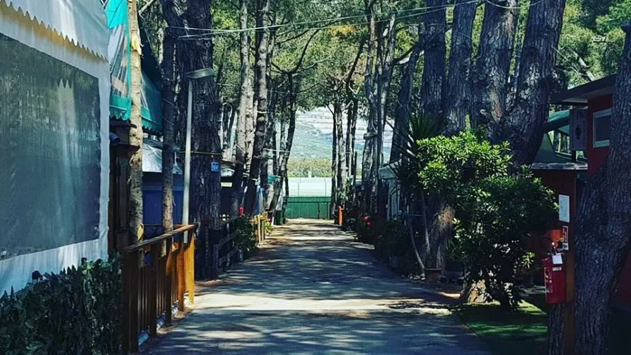 Camping Anxur