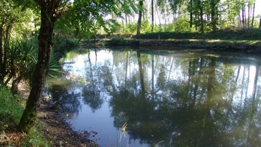 Camping  des Landes d'Armagnac